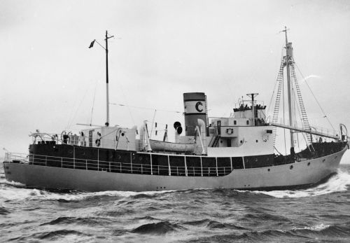 19520800-BN19-N0859-DS Thorfinn.jpg