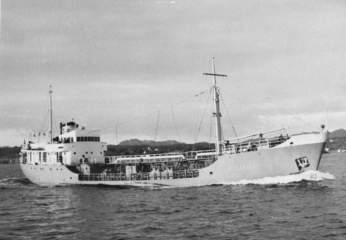 19550000-BN31-N0871-MT Sydskjell.jpg