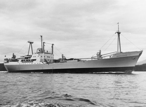 19560000-BN33-N0873-MS Bosphorus.jpg
