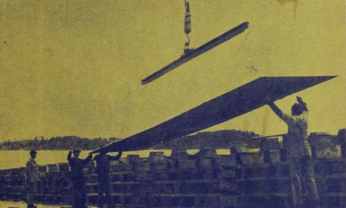 1952 ny bedding richar amlie.JPG