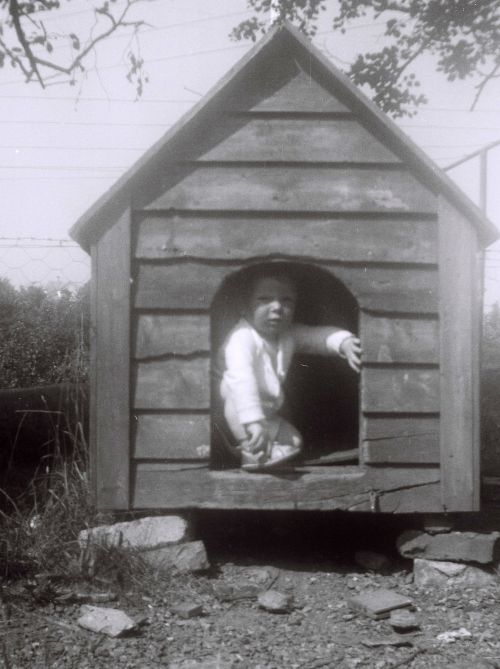 1960 Giljo, hundahuset, Hans R1-04260-0023.JPG